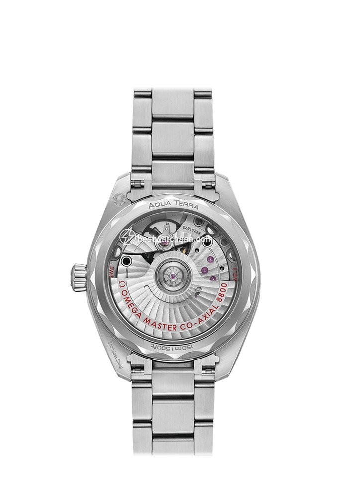 IMG_9085 Omega Seamaster Aqua Terra Mens watch Unisex Automatic Steel 220.10.34.20.03.001 Replica 2