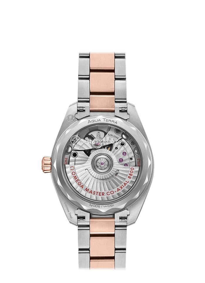 IMG_9085 Omega Seamaster Aqua Terra Womens watch Automatic Gold Steel 220.20.34.20.06.001 Replica 2
