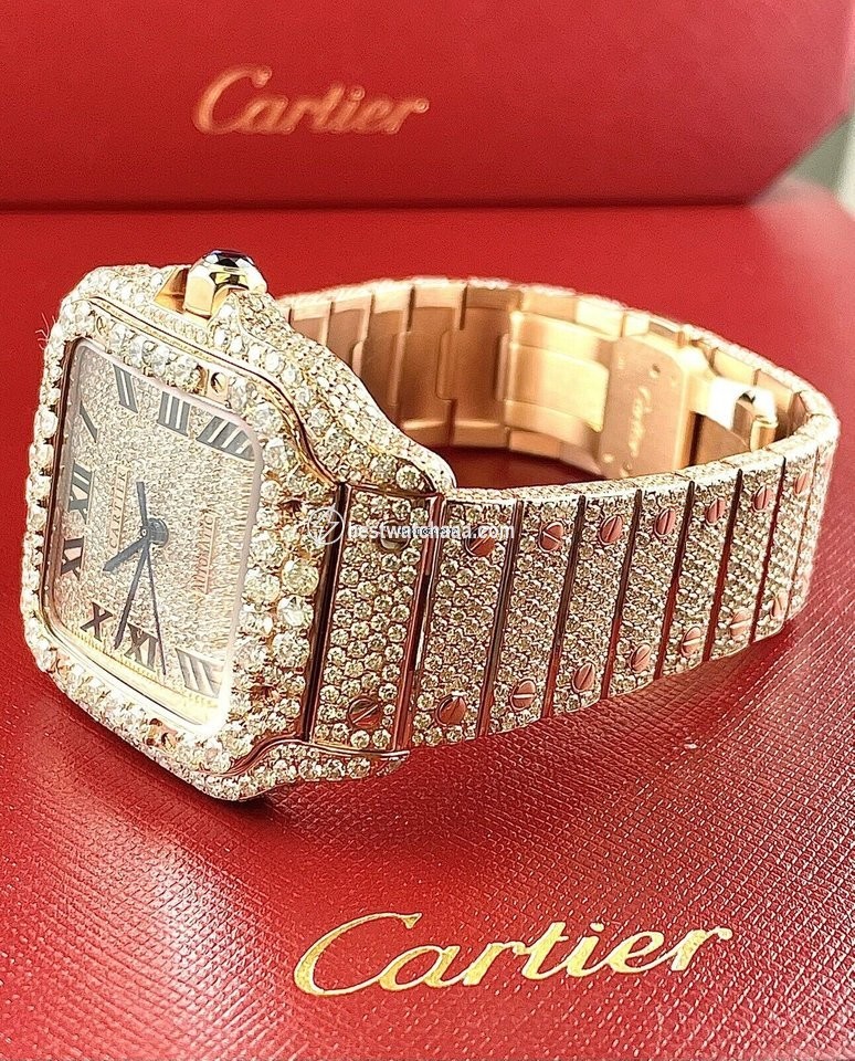 IMG_9085 Cartier Santos Mens watch Unisex Automatic Rose gold WGSA0009 Replica 2