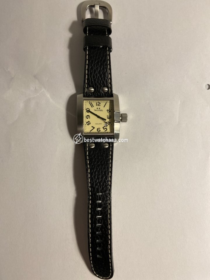 IMG_9085 TW Steel Womens watch Steel TW20 Replica 2