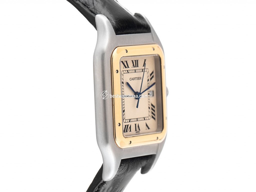 IMG_9086 Cartier Panthere Mens watch Unisex Quartz Gold Steel 182949 3