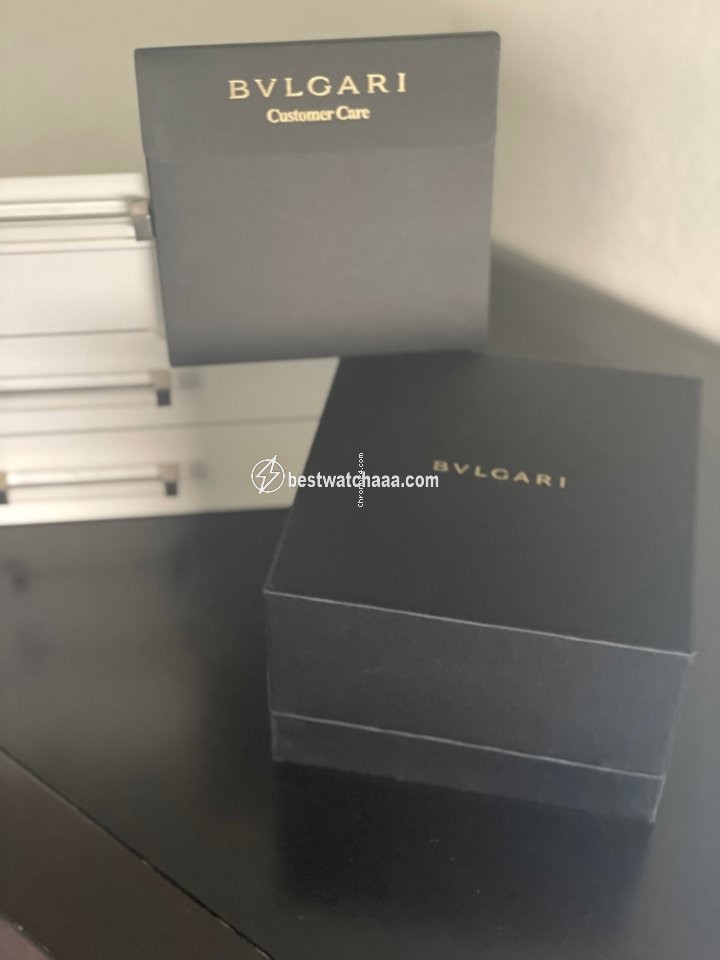 IMG_9086 Bulgari Serpenti Womens watch Quartz Steel 103141 3