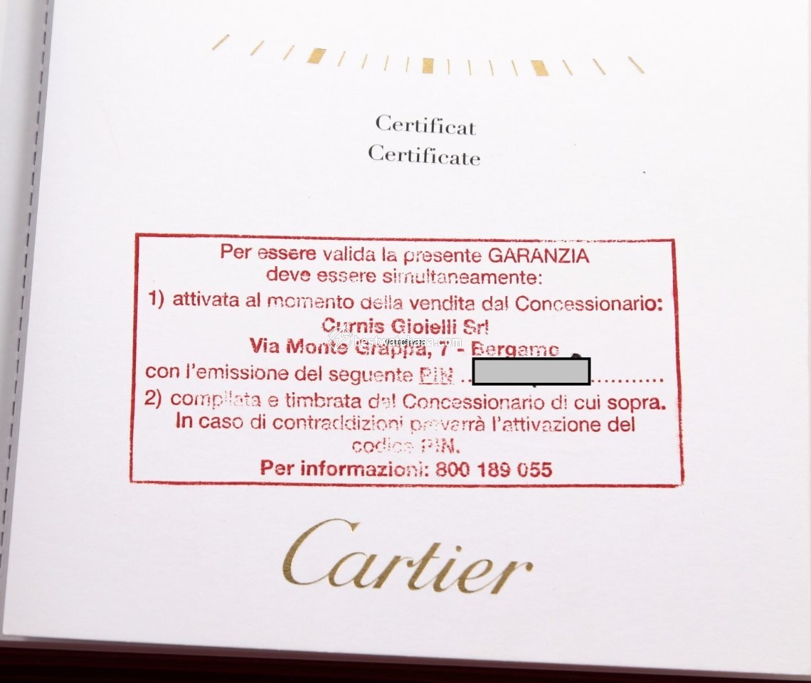 IMG_9081 Cartier Pasha Mens watch Unisex Automatic Yellow gold W3020151 Replica 4