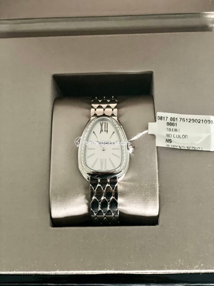 IMG_9081 Bulgari Serpenti Womens watch Quartz Steel 103141 Replica 5