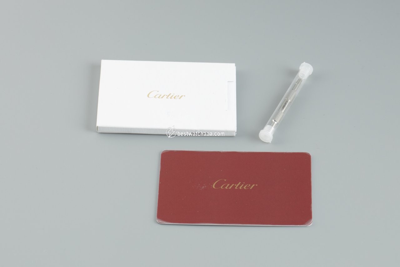 IMG_9081 Cartier Santos Mens watch Unisex Automatic Red gold WGSA0011 Replica 5