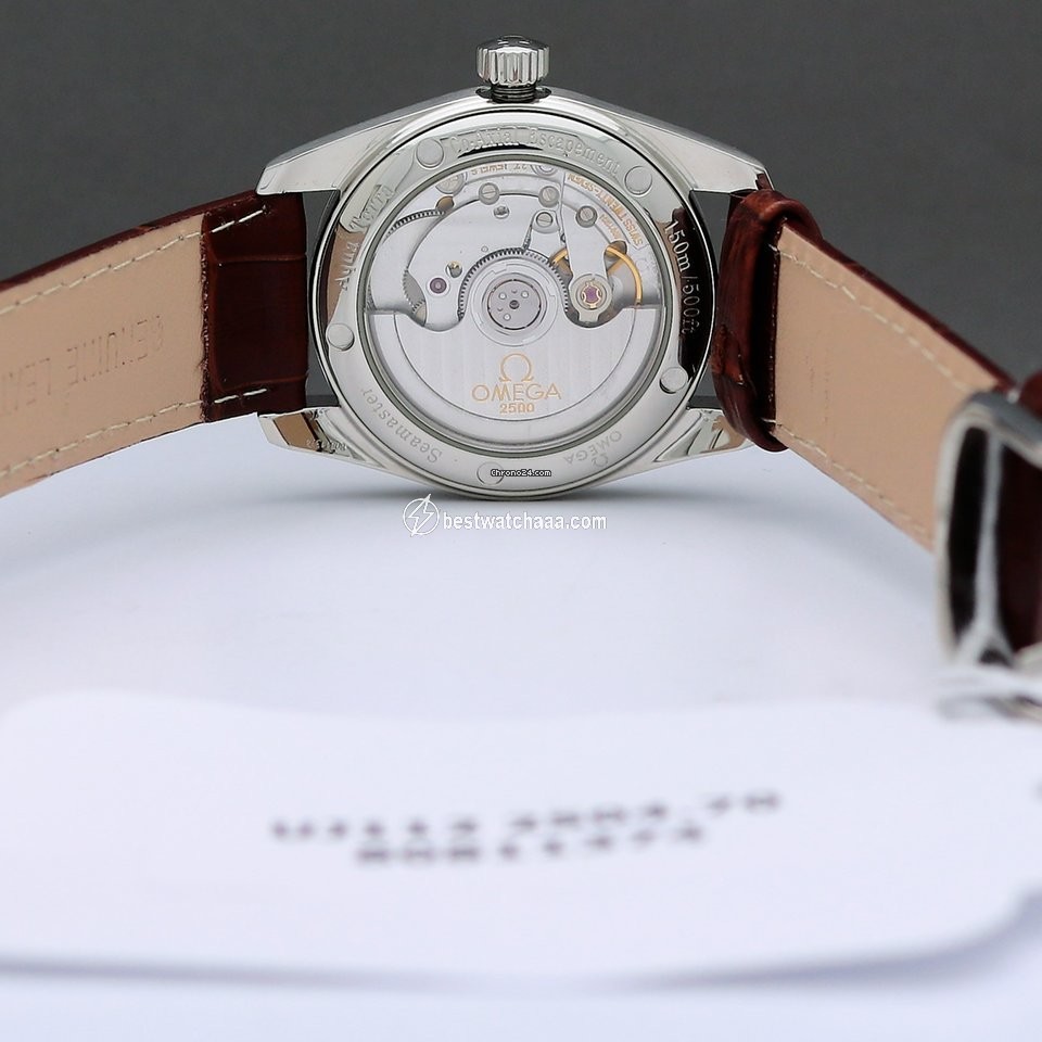 IMG_9081 Omega Seamaster Aqua Terra Mens watch Unisex Automatic Steel 2504.70 Replica 5