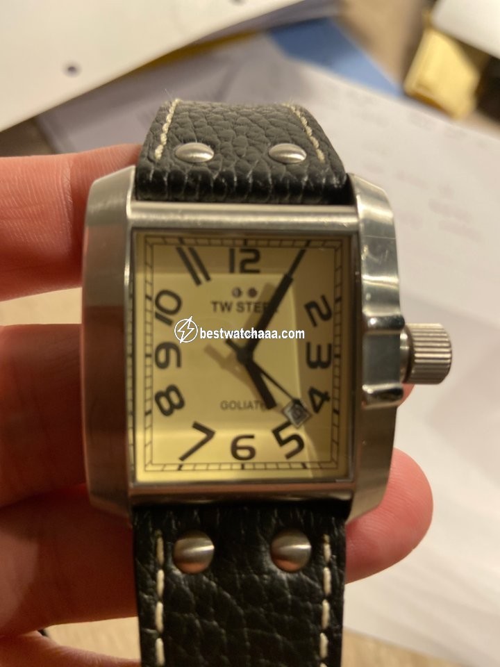 IMG_9081 TW Steel Womens watch Steel TW20 Replica 6