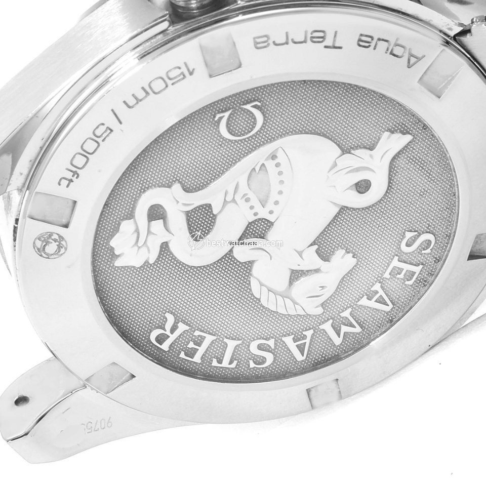 IMG_9081 Omega Seamaster Aqua Terra Mens watch Unisex Quartz Steel 231.10.39.61.02.001 Replica 7