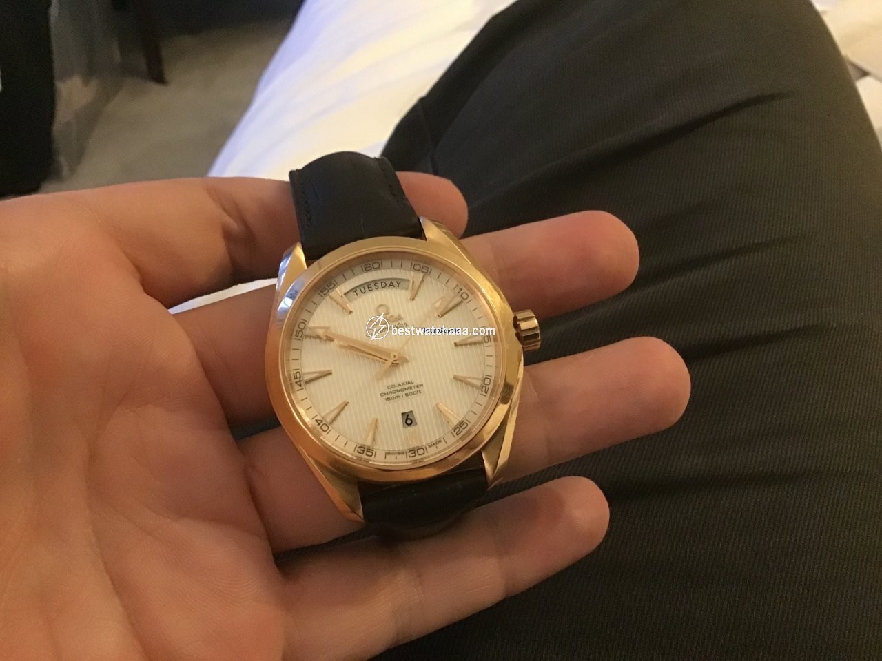 IMG_9081 Omega Seamaster Aqua Terra Mens watch Unisex Automatic Red gold 231.53.42.22.06.001 Replica 7