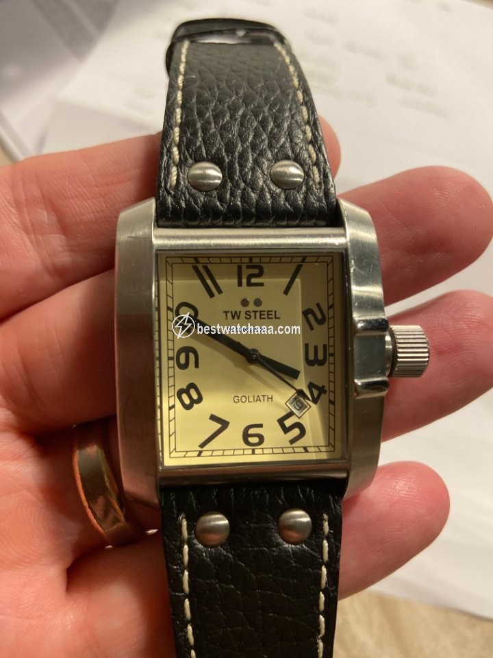IMG_9081 TW Steel Womens watch Steel TW20 Replica 7