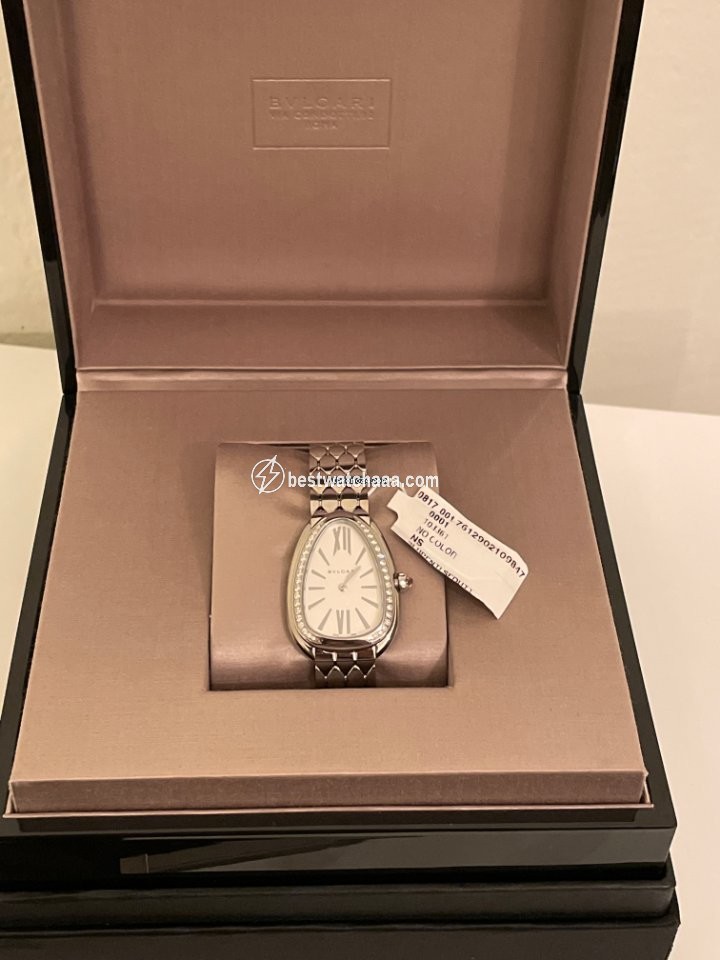 IMG_9081 Bulgari Serpenti Womens watch Quartz Steel 103141 Replica 7