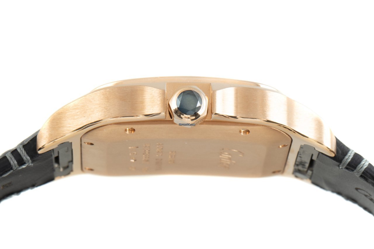 IMG_9081 Cartier Santos Mens watch Unisex Automatic Red gold WGSA0011 Replica 8