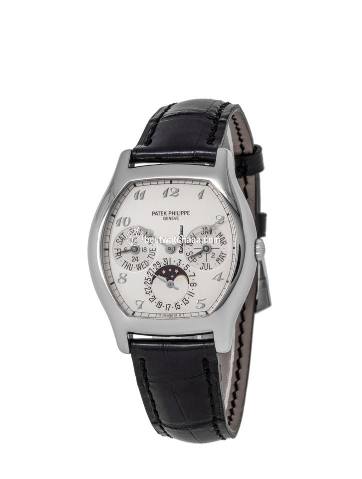 Patek Philippe Perpetual Calendar Mens watch Unisex Automatic Platinum 5040P