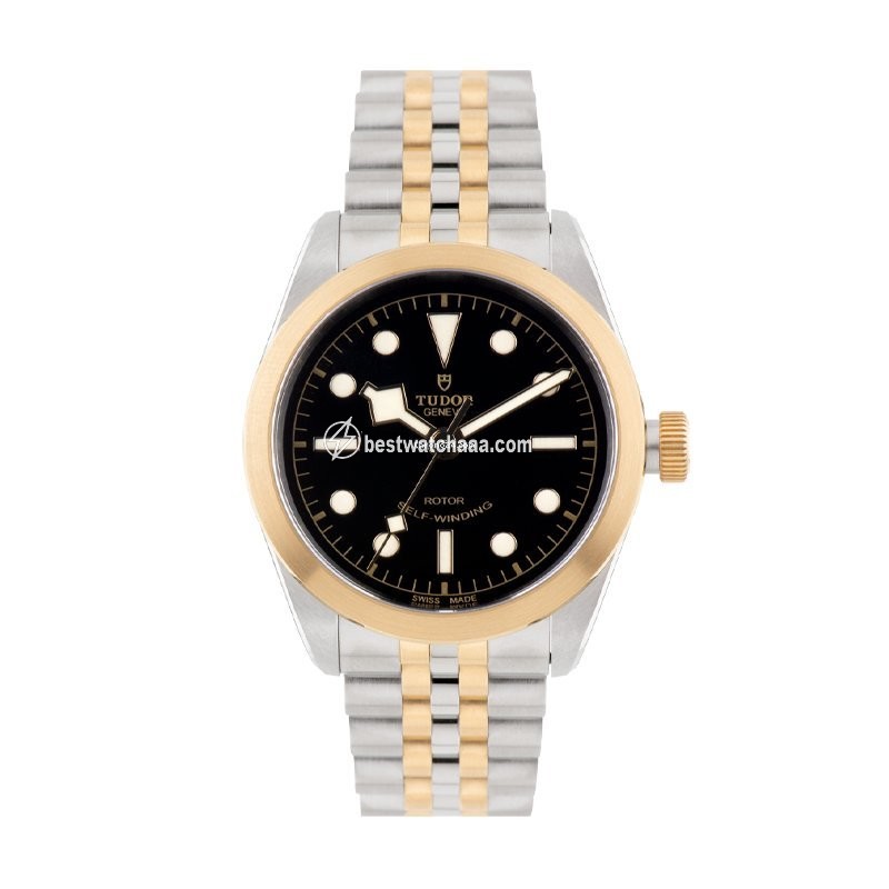 Tudor Mens watch Unisex Automatic Gold Steel M79503-0001
