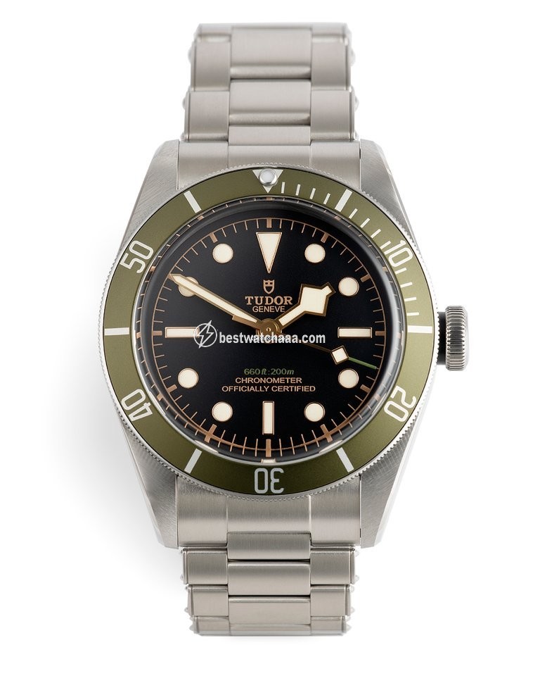 Tudor Black Bay Automatic Steel 79230G