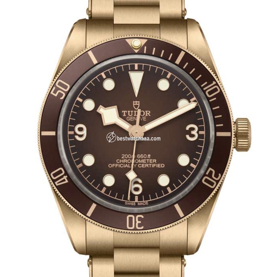 Tudor Mens watch Unisex Automatic Bronze M79012M-0001